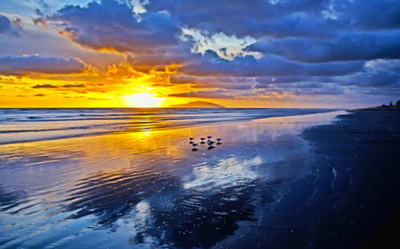 Marching Order - birds, sunset, ray, beach, ocean, reflection