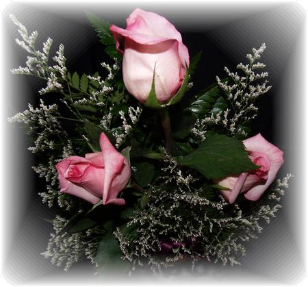 Romanic Moments - roses, romance, romanic, flower, pink, flowers, babys breath, rose, background, centerpiece