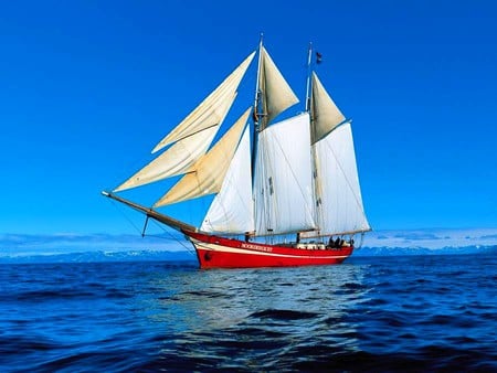 SailBoat - cool, picture, sailboat