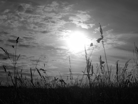 black and white field  - black, field, white, sun