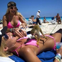 Funny Girls On Beach