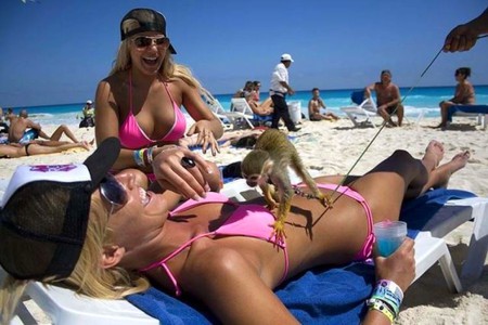 Funny Girls On Beach - on beach, funny girls, picture, cool