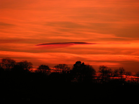 as orange as it gets sunset - walk, beautiful, orange, field, sunset