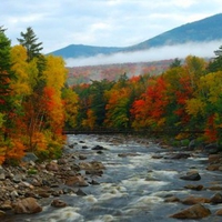 Colors of Autumn