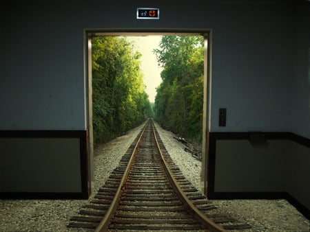 yourway - train, forest, door, way, your, you