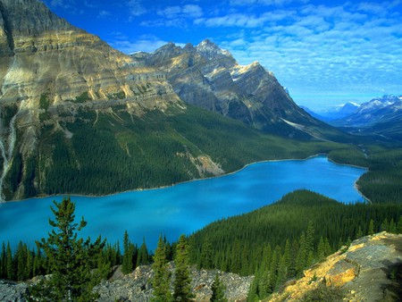 LAKE PEYTO CANADA - mountains, canada, lakes, blue