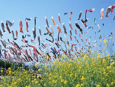 Artificial Hanging Fish - nature, japan, fish, hanging, artificial