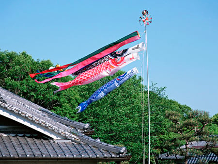 Japanese Nature - nature, japan