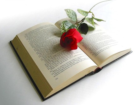 A to Z ABOUT LOVE - love, red, romance, novel, story, book, rose