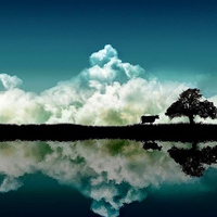 Clouds Reflection