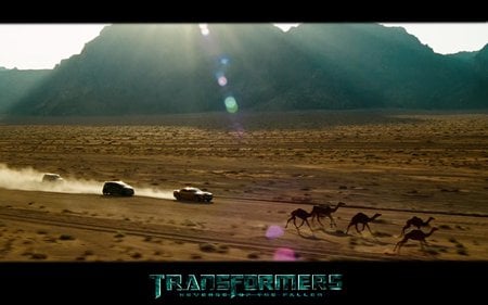 Transformers In Egypt - abstract, cars, transformers revenge of the fallen, transformers, entertainment, hollywood, egypt, movie, camels, action, day