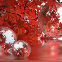 bubble in autumn