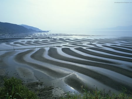 Japan Nature - nature, japanese, japan