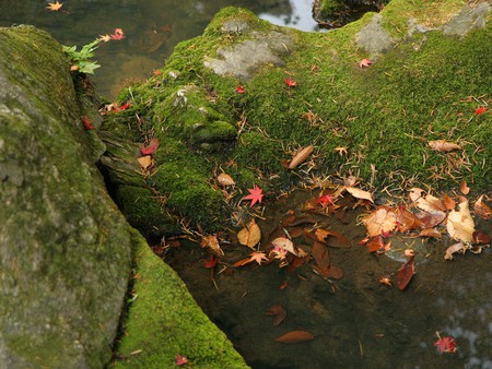 Japan Nature - nature, water, japanese, japan