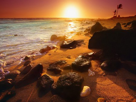 Shoreline Sunset Hawaii - hawaii, sunsets, nature