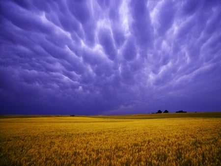 Colors of nature - nature, fields