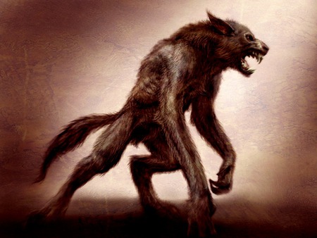 WereWOLF - animal, wolf, were, man