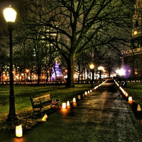 Yale on the Green  Night