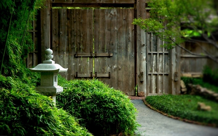 Temple Door - nature, door