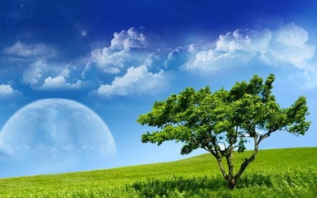 Winds of change - moon, tree, grass, clouds