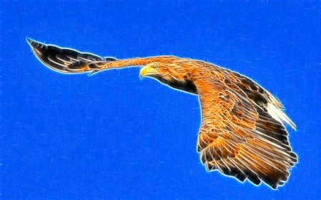 Free Flight - bird, abstract, sparkle, eagle, wing, flight, fractalius