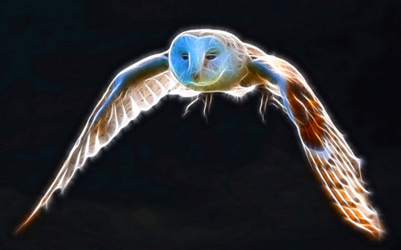 Flight Of Snowy Owl - fractalius, wing, flight, bird, sparkle, snowy owl