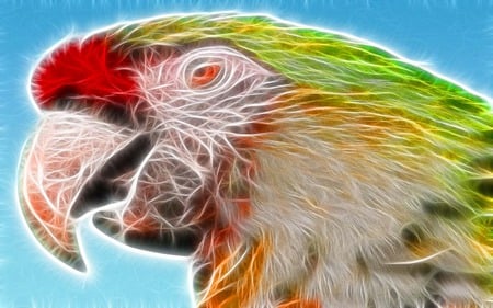 The Talkative - bird, colorful, sparkle, animal, fractalius, beauty, parrot