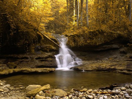 Golden stream - golden, nature, waterfall, tree