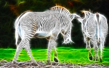 Just Follow - fractalius, beauty, zebra, animal, sparkle