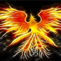 Phoenix 2