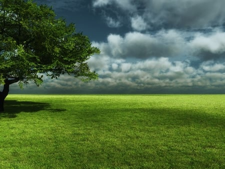 Overcast field - nature, fields