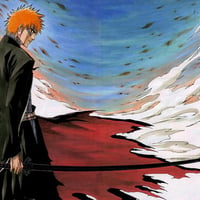 ichigo kurosaki