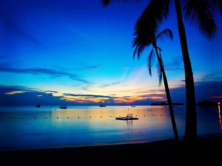 Island - nature, sky, beach, trees, island, water