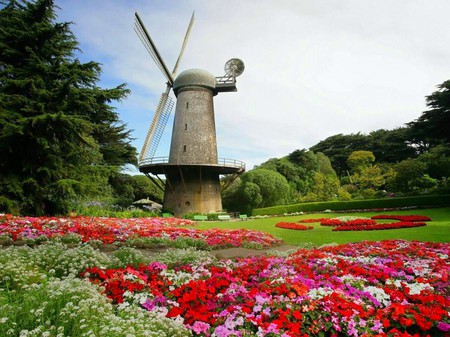 Flowers And Windmill