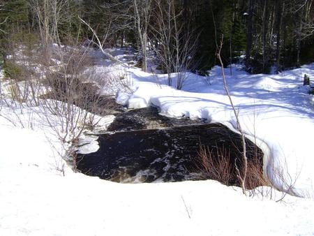 Untitle - white, trees, snow, river