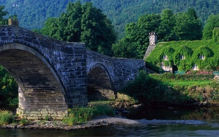 Lake - lake, bridge, morning, green