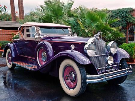 1931-Packard Deluxe Eight Roadster - classic, 1931, packard