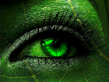 EYE OF A GREEN LEAF - cornea, lids, lashes, green, leaf, eye, veins