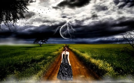 THIS LONG ROAD I TRAVEL - blackdress, birds, i, long, grass, dark, plants, field, lightning, storm, clouds, moon, fog, road, travel, tree, lady