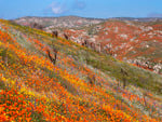 Amazing Landscapes Fields