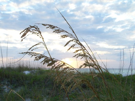 ~Longboat Key~Sarasota, Florida~ - clouds, foilage, beach, beautiful, sand dunes, seaoats, florida, nature, sun