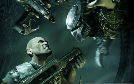 Aliens vs predator - aliens vs predator, predator, fight, human, aliens, weapon