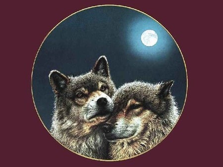 WE LOVE EACH OTHER VERY MUCH - a, gorgeous, beautiful, pair, wolves