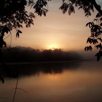 Rainforest Sunset