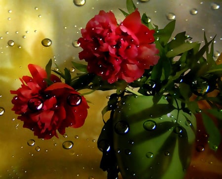 Beauty Through The Droplets - vase, water drops, red, green vase, droplets, peonies, leaves