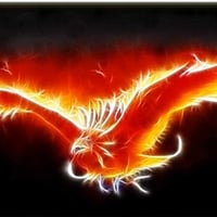 Phoenix On Frame