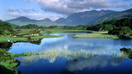 Lake - lake, nature