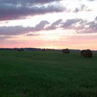 hay field at sunset