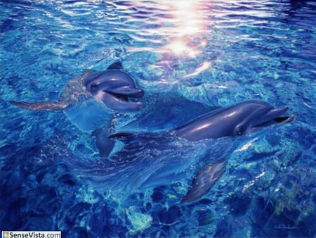 Dolphins - fish, animals