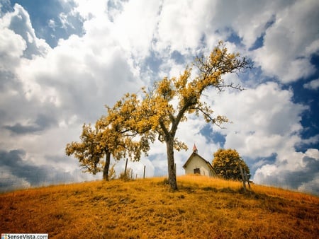 Field - nature, fields